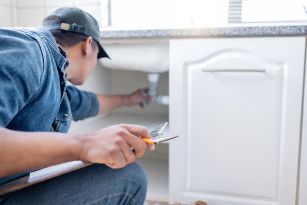 Best Plumbing Inspection Services  in East Jordan, MI